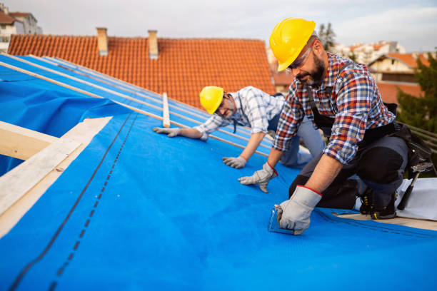 Best Roof Leak Repair  in Fortuna, CA
