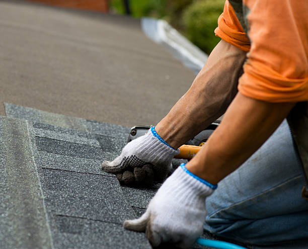 Roof Gutter Cleaning in Fortuna, CA